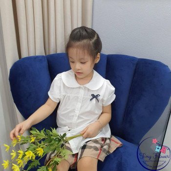 Áo sơ mi nơ cổ - A7255 Áo sơ mi nơ cổ - A7255